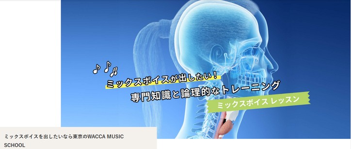 �����E����̃{�C�g���X�N�[���yWACCA MUSIC SCHOOL�z�ɂ���